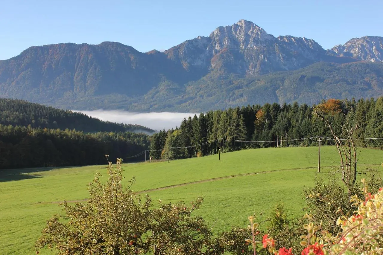 Hainbuchhof Anger Bauernhof
